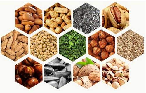 食品烘干的應用