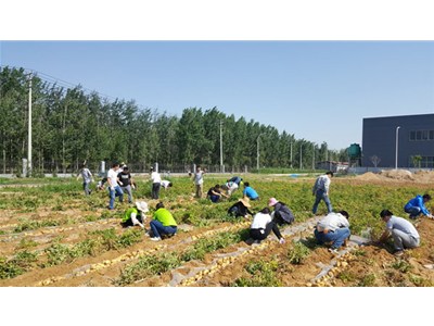 在這豐收喜悅的季節(jié)里，我們滿載而歸